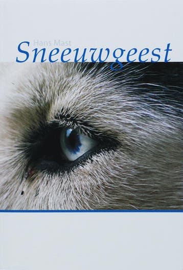 Sneeuwgeest - H. Mast 9789051793291, Verzenden, Gelezen, H. Mast