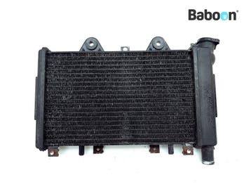Radiateur Triumph Daytona 900 / T357 1991-1997, Verzenden, Gebruikt