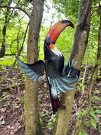 Decoratief ornament - Toucan