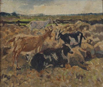 Willem Hendrik van der Nat (1864–1929) - Geiten