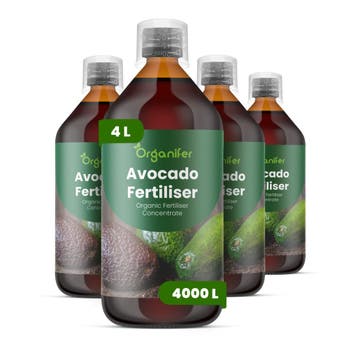 Avocado Vloeibare Meststof - 4x1 Liter, Verzenden, Mest