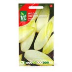 Witlofzaad | VT, Tuin en Terras, Bloembollen en Zaden, Verzenden