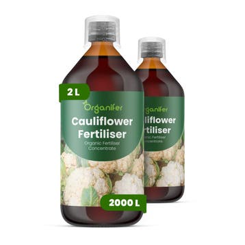 Bloemkool Vloeibare meststof - 2x1 liter, Verzenden, Mest