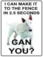 Metalen plaatje snel hondje - Metalen wand plaatjes, Ophalen of Verzenden, Nieuw