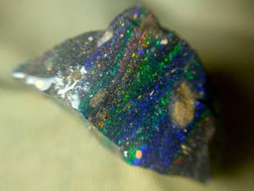 42,6 ct - Topkleur - Honduras Black Opal - Ruw- 8.52 g
