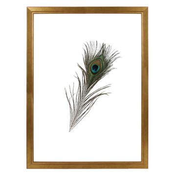 Fotolijst Dubbelglas 50x65 Tropez, Nieuw