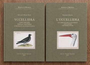 Olina / Solinas - Vccelliera / LUccelliera - 2000
