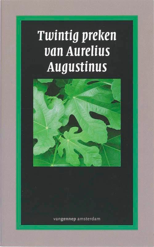 De twintig preken van Augustinus - Augustinus 9789055159093, Boeken, Romans, Zo goed als nieuw, Verzenden