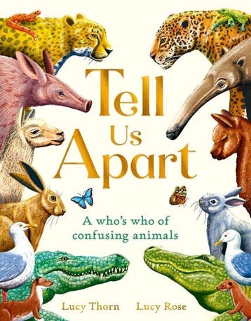 9781510230927 Tell Us Apart Lucy Thorn, Boeken, Verzenden, Nieuw, Lucy Thorn