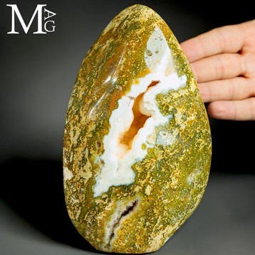 Orbicular Ocean Jasper met een opvallende natuurlijke holte
