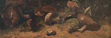 A. Keus (1875-1955) - Paddenstoelen, Antiek en Kunst