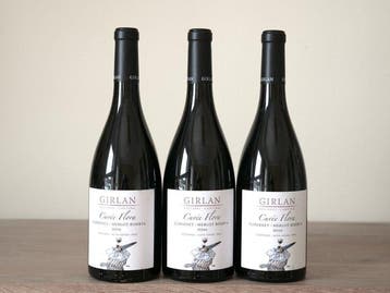 2016 Girlan Cuvée Flora Rosso - Trentino Alto Adige Riserva, Nieuw