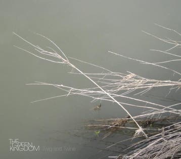 cd digi - The Green Kingdom - Twig And Twine, Verzenden, Zo goed als nieuw
