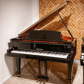 Wendl & Lung Model 178 PE messing vleugel, Nieuw, Zwart, Vleugel