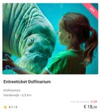 Dolfinarium kaartje € 18,50 i.p.v. € 29,00, Tickets en Kaartjes, Recreatie | Dierentuinen