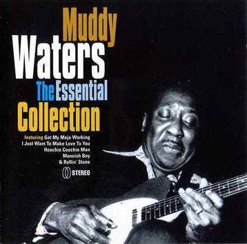 cd - Muddy Waters - The Essential Collection, Verzenden, Zo goed als nieuw