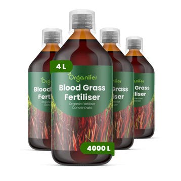 Vloeibare meststof voor bloedgras - 4x1 liter, Tuin en Terras, Verzenden, Mest