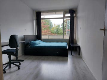Kamer te huur in Capelle Aan Den IJssel - 14 m² - 1 kamer(s), Rotterdam
