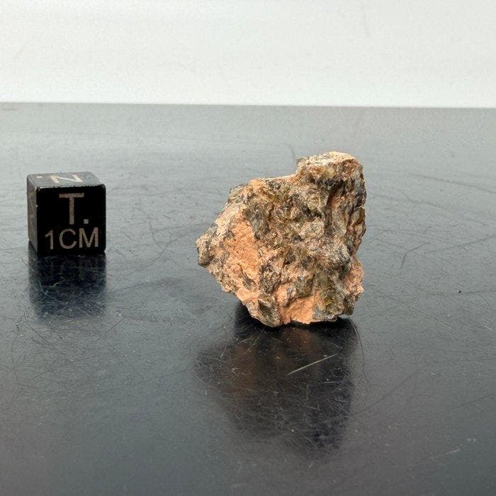 Diogenita NWA 7831 Uitstekende kwaliteit meteoriet van de, Verzamelen, Mineralen en Fossielen