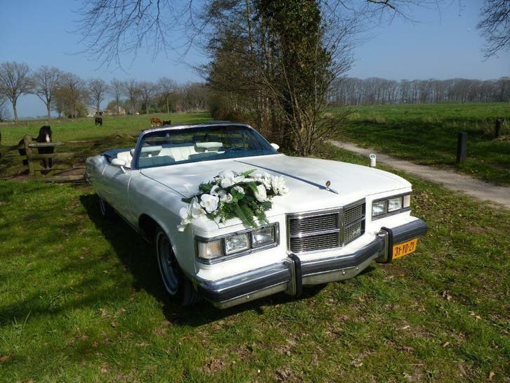 Trouwautos-Elburg.nl - Trouwvervoer trouwauto bruiloft auto, Diensten en Vakmensen, Verhuur | Auto en Motor, Personenauto, Trouwauto