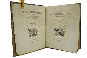 SN - Musée Entomologique. Les Coléoptères - 1876, Antiek en Kunst