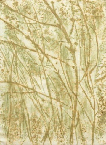 Giuseppe Penone (1947) - Il Verde Del Bosco