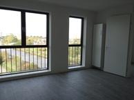 Studio Friesestraatweg in Groningen, Overige soorten, Groningen