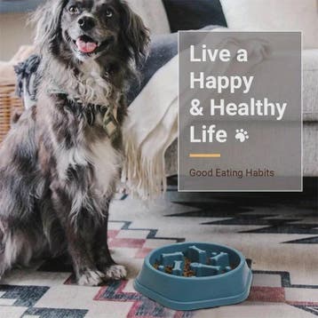 Honden voerbak slowfeeder anti-verstikking | Gezonde voeding, Boeken, Gezondheid, Dieet en Voeding, Verzenden, Nieuw