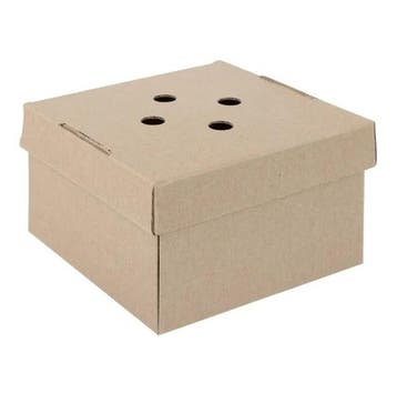 Uitklapbare Hamburgerdozen (100 Stuks), Verzenden, Nieuw in verpakking