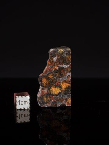 Sericho meteoriet Pallasiet - 37 g - (1)