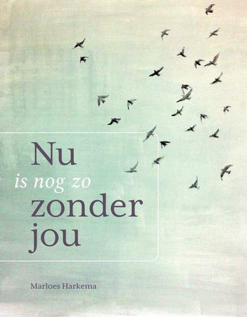 9789491687556 Nu is nog zo zonder jou | Tweedehands, Verzenden, Zo goed als nieuw, Marloes Harkema