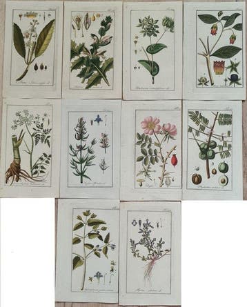 Johannes Zorn. J Sepp - 10 handgekleurde kopergravures oa.