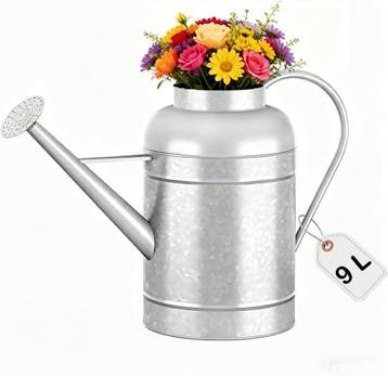 Gieter 8,7L - Verzinkt staal - 39% korting, Tuin en Terras, Ophalen of Verzenden, Zo goed als nieuw, Metaal
