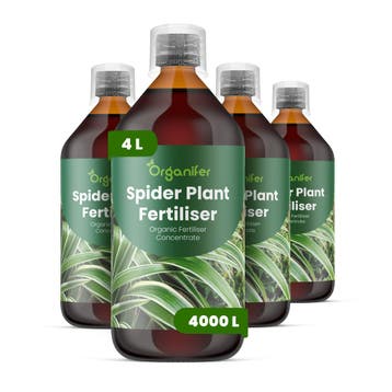 Graslelie Vloeibare meststof - Set 4x1 liter, Verzenden, Mest