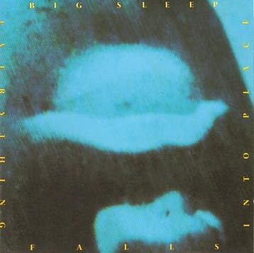 cd - Big Sleep - Everything Falls Into Place, Verzenden, Zo goed als nieuw