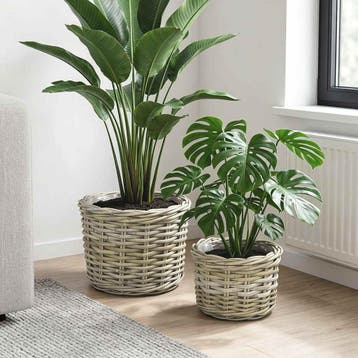 vidaXL Bloempot Mand GENDT 2 st Natuurlijk grijs Kubu Rattan, Verzenden, Nieuw