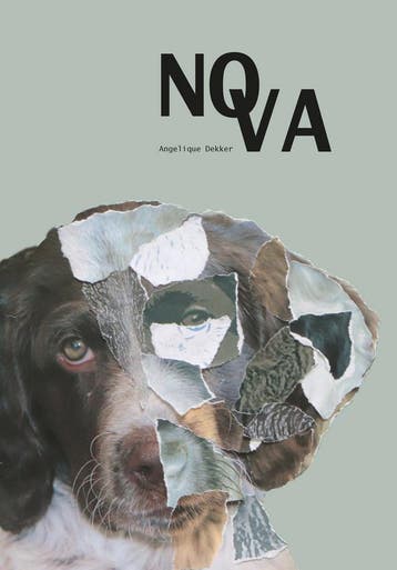 Nova - Angelique Dekker 9789464372397, Verzenden, Zo goed als nieuw, Angelique Dekker