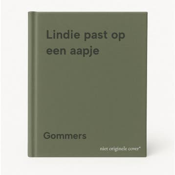 Lindie past op een aapje - Gommers 9789020670714, Verzenden, Gelezen, Gommers