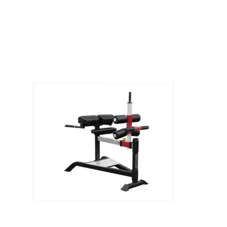 Impulse - Horizon - Lower Back - Hyper Extension, Sport en Fitness, Fitnessmaterialen, Zo goed als nieuw, Ophalen of Verzenden