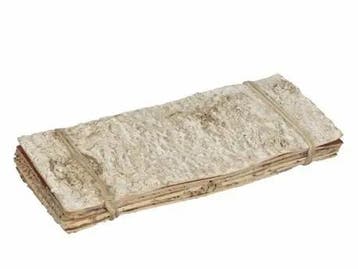 Berkenschors Stroken ca. 3 cm 12 stuks, Ophalen of Verzenden, Nieuw