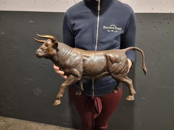 Beeld, XL Bronze Bull Hand-Crafted - 28 cm - Brons, Antiek en Kunst