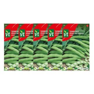 Bonen zaad | VT | 5 stuks (Tuinbonen), Verzenden