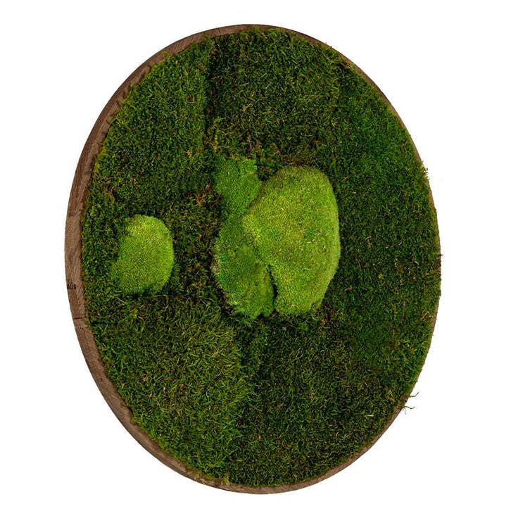 Vintlux Mosschilderij Rond 100 cm Donker Eiken - Esbjerg, Huis en Inrichting, Woonaccessoires | Wanddecoraties