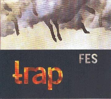 cd digi - FES - Trap, Verzenden, Zo goed als nieuw