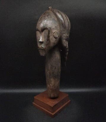 Reliekhouder - hoofd hoektand - Gabon (Zonder minimumprijs)