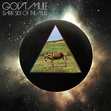 GOVT MULE - DARK SIDE OF THE MULE (2LP-GLOW IN THE DARK), Verzenden, Nieuw in verpakking