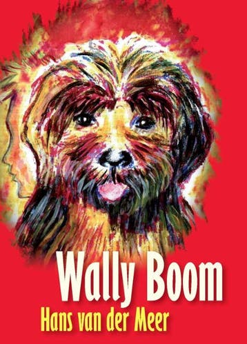 Wally Boom - Hermien van der Meer 9789085481874, Verzenden, Gelezen, Hermien van der Meer