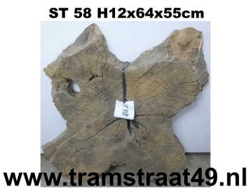 Verweerd hout boomschijf decoratie | tafelblad | wandpaneel, Ophalen of Verzenden, Nieuw