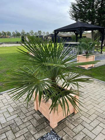 BLOEMBAK STEIGERHOUT ALLE MATEN, Tuin en Terras, Ophalen, Overige materialen, Nieuw, 60 tot 100 cm