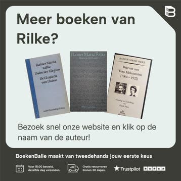 Dagboek van malte laurids brigge - Rilke 9789021491240, Verzenden, Gelezen, Rilke